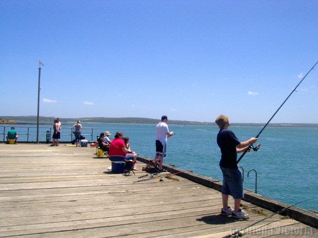 Fishing from Corinella Jetty